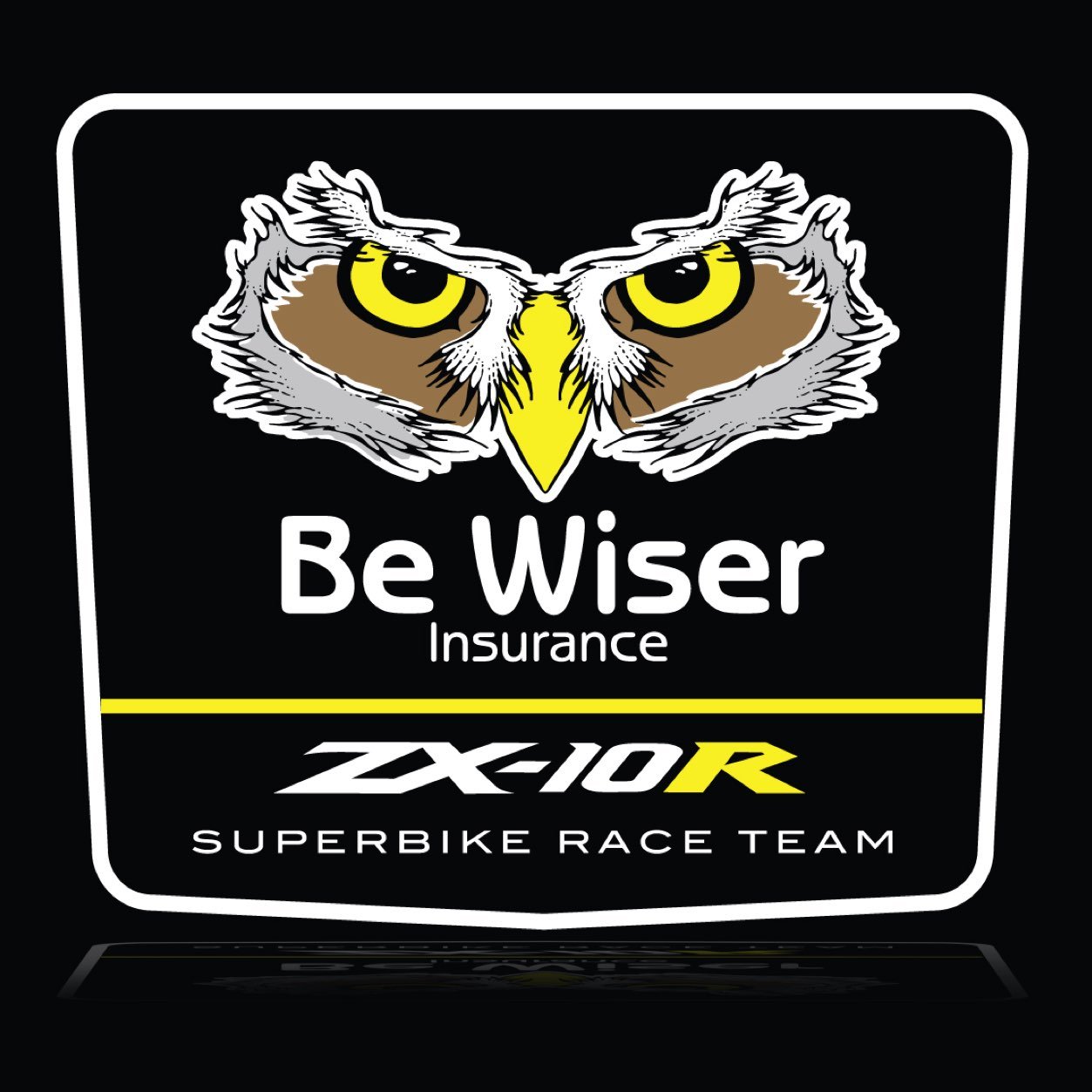 British Superbike Team NEW For 2015 powered by @Kawasaki_news @Bewiser @tommyhill33 Alan Greig