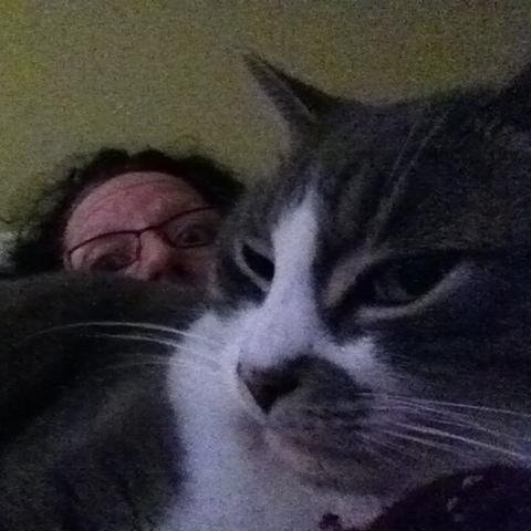 kebates1's profile picture. teacher, singer, mando player (loosely speaking...) 3 Bags Full