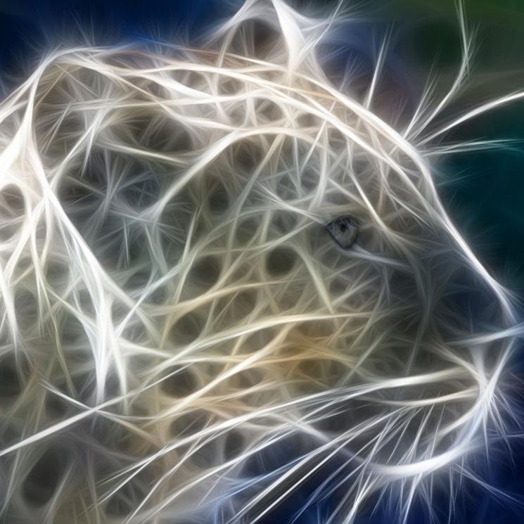 baycelikkk's profile picture. 