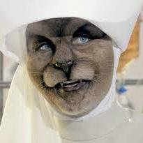 freefollow from doctor fckn who