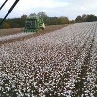 Andrew Burleson (@aburleson7298) 's Twitter Profile Photo