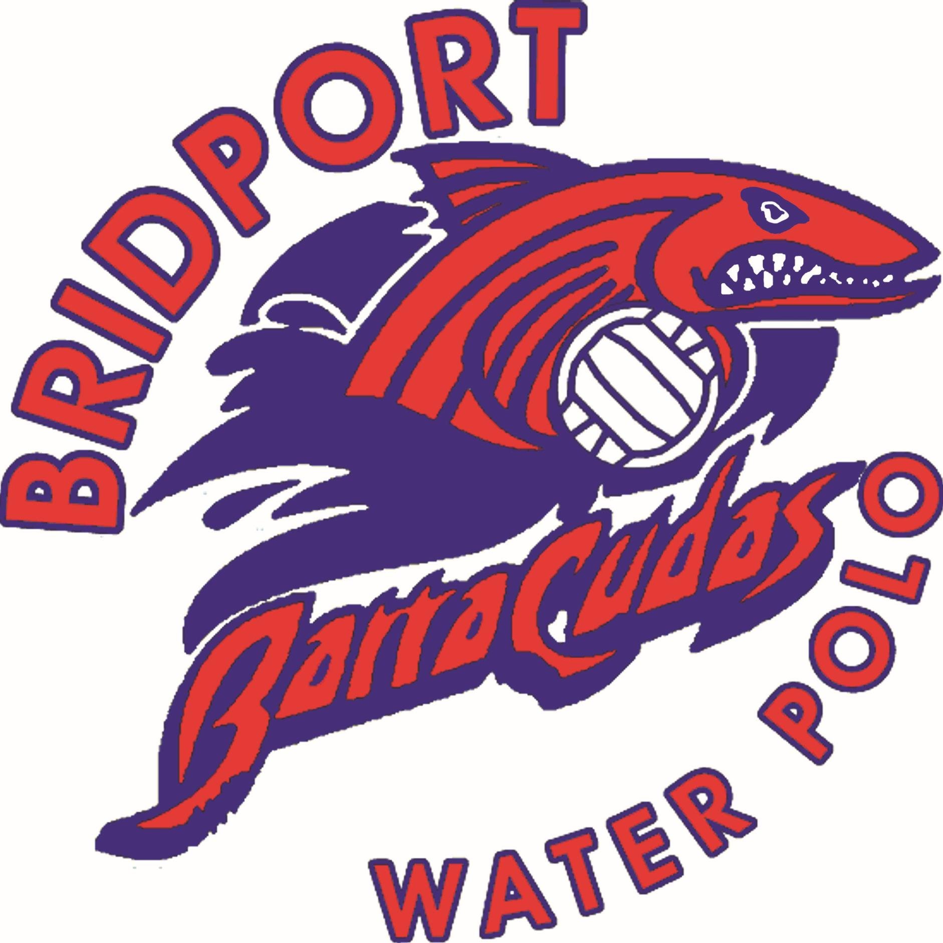 Water Polo section of Barracudas Swim Club. @BridportLC on monday evenings from 7.30pm. Summer matches in West Bay since 1898, + Lyme Splash