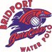 Bridport Barracudas Water Polo (@bridwaterpolo) Twitter profile photo