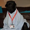 Eva Harrison - @MollevaDigital - Twitter