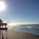 Therese Jensen - @theresejensen74 - Twitter