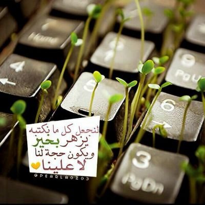 qpcleamsty33203's profile picture. ‏حساب ديني يحب ينشرا الخير للناس جميعنا جزاكم الله خيرآ لكل من نشرا الخير المدينة المنورة