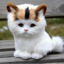 Joe Mintz - @mintz_joe - Twitter