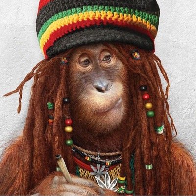 lyrics, news, and media about hot new upcoming artists in the rap game.