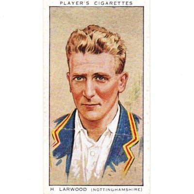 Tweets by @ProfRSGrayson on cricket in 1919-39.  Launched in 2014 on the 110th anniversary of the birth of Harold Larwood on 14th November 1904.