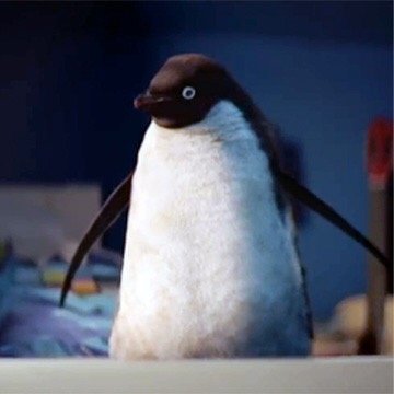 not associated with John Lewis.