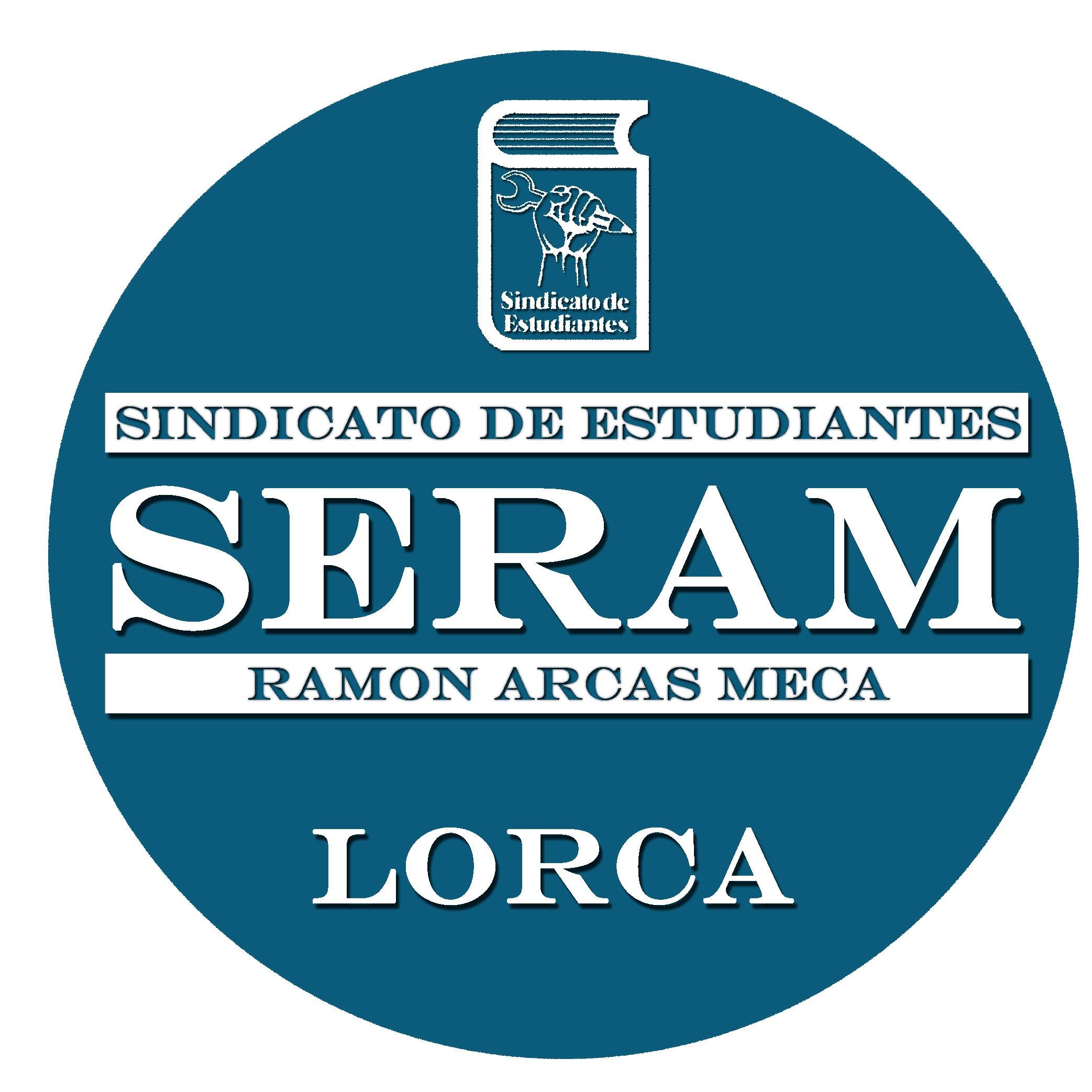 Sindicato de estudiantes del IES Ramón Arcas Meca