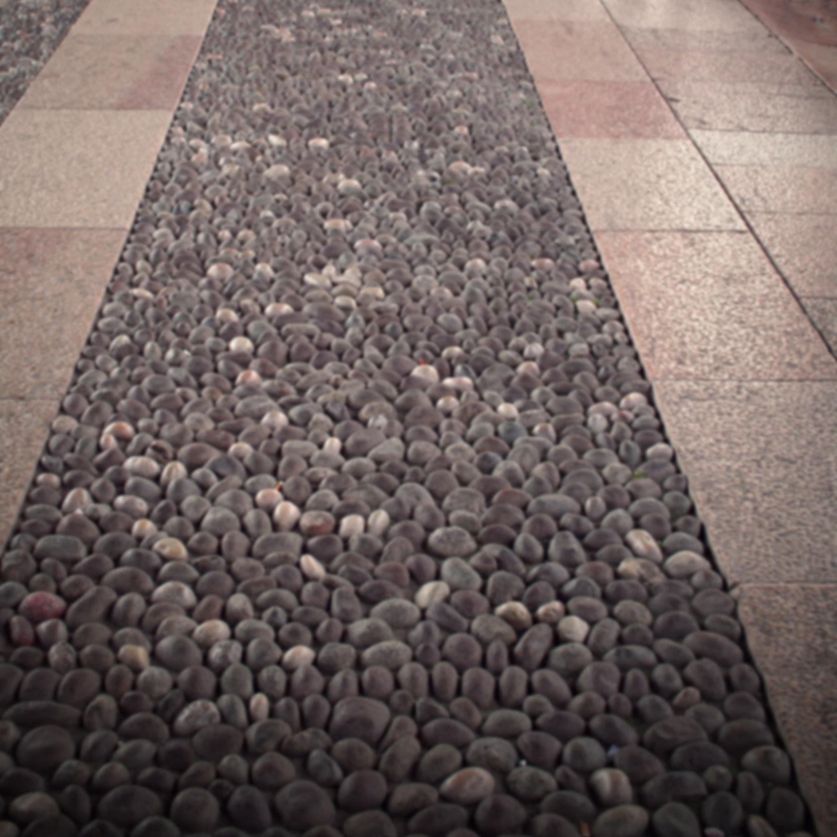 ridesharingme's profile picture. 