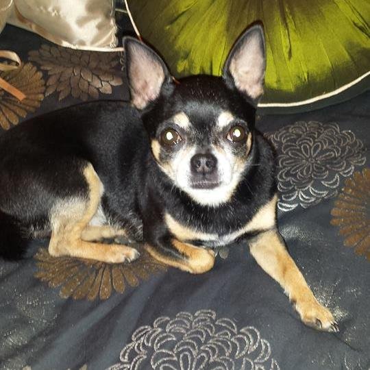 MaggieAnnie2C's profile picture. 