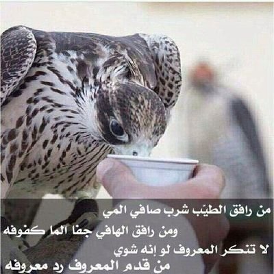 لا اله الا انت سبحانك اني كنت من الظالمين