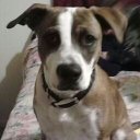 Amber Wall - @AwBowhunter - Twitter