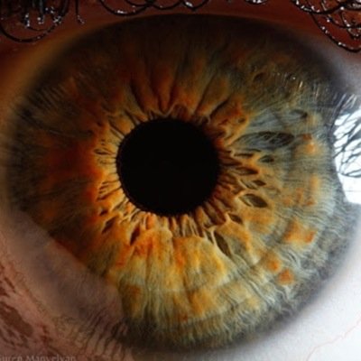 Daily Facts That Will Blow Your Mind!