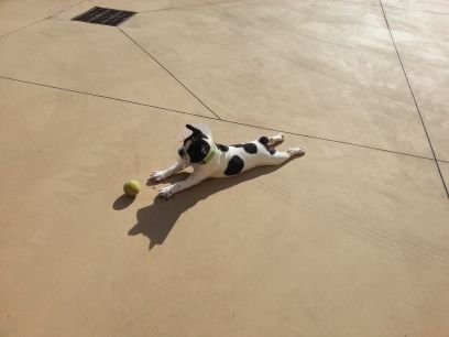 mircofara's profile picture. 