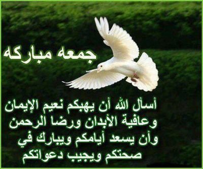 ‏‏‏‏‏‏‏‏‏السلام عليكم ورحمة الله وبركاته