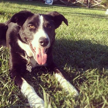 CLmadplanner's profile picture. 