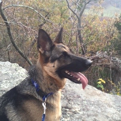samrein145's profile picture. 