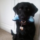 Sharon Padgett - @sharoncpadgett - Twitter