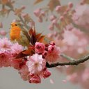 charles elmore - @ckelmore1 - Twitter