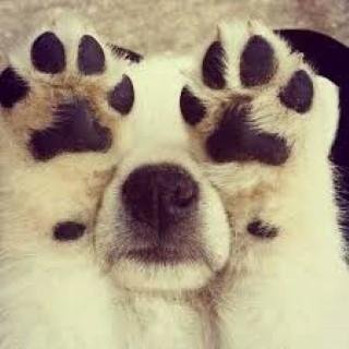 Hey there. I tweet world's funniest news every day! Do you like to see more? If so, please visit my website.
