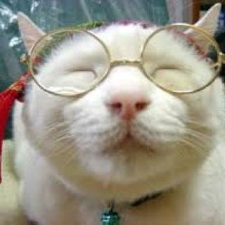 Hey there. I tweet world's funniest news every day! Do you like to see more? If so, please visit my website.
