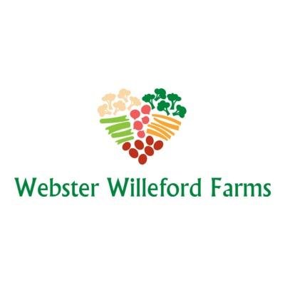 We grow more than just food. We supply high quality, fresh, delicious organic fruits, vegetables, and leafy greens to single mothers with cancer.