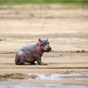 Cameron Critchfield - @baby___hhiippoo - Twitter