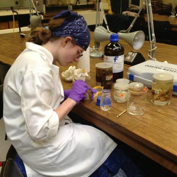 PhD fellow | University of Bath | Evolution of parental care in birds and dinosaurs 🦖

#WomeninSTEM | #WelshAndProud | she/her ♀️

@UniofBath @NHM_London