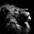 MMHSAVID2016's profile image