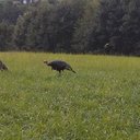 Matt Ison - @WCFD625 - Twitter