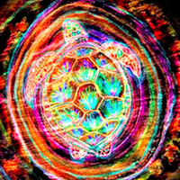 Terrapin Nation (@terrapin_nation) 's Twitter Profile Photo Terrapin Nation (@terrapin_nation) 's Twitter Profile Photo