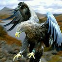 Jacob Mayorga - @78efbba7615e4e6 - Twitter