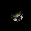 Lisa Marie Ives - @lmives - Twitter