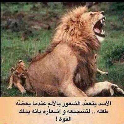 DeafMr's profile picture. 