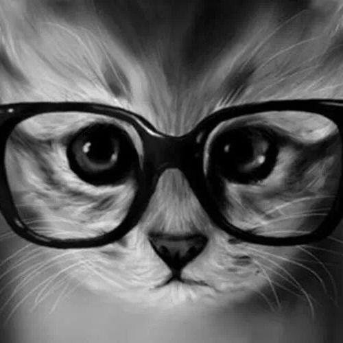 karim_kardoud's profile picture. 