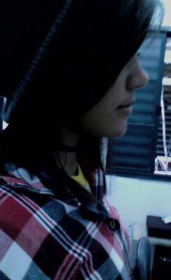 I'm Directioner  5SOSFan  Mahomie & Lovatic *Brazilian*