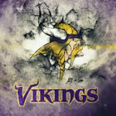 Sales associate with NALCO. @vikings @twins @wild Minnesota sports
