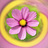 AimeeHouston's profile image