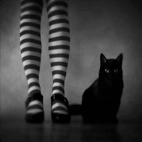 I love Halloween, Apartment Manager, I follow everyone that follows me. My husband owns hardcore powerlifting gym http://t.co/qbnHWTdpEN. See videos.