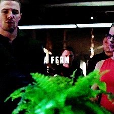 olicityfern's profile picture. roses are red. violets are blue. olicity's house plant is better then you.