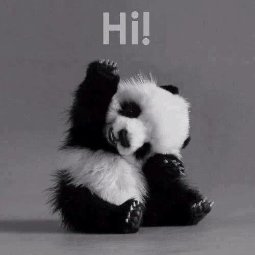 aidymac7's profile picture. 