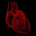 Hugh Man - @HumanAgain_ - Twitter