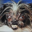 Connor - @ConnorHuffman - Twitter