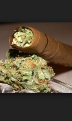 Dank_Smoking2's profile picture. living life and loving herbs.