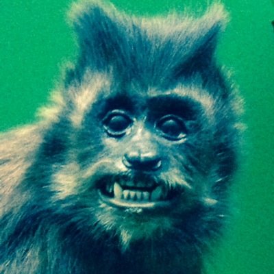 kyliechewbacca's profile picture. 