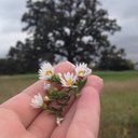 Sami Watson  - @samitruth - Twitter