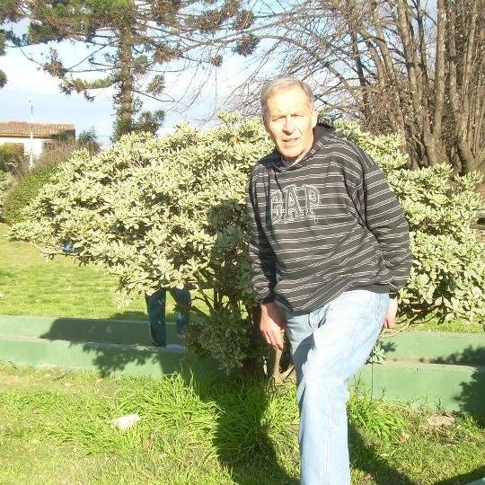 pulqui2's profile picture. 